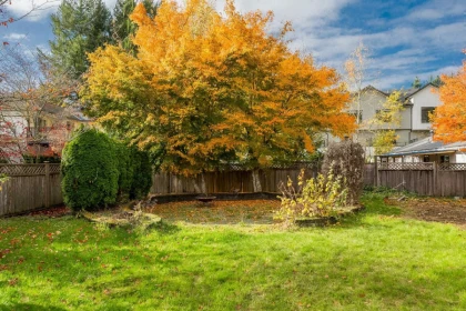 Kitchen Photo of 20844 45a Avenue, Langley, BC