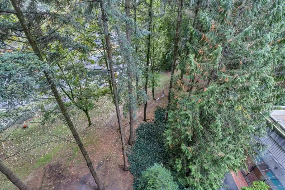 Garden / Landscaping Photo of 501 3771 Bartlett Court, Burnaby, BC