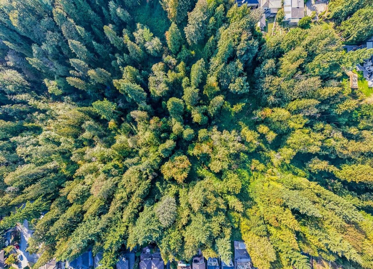 Backyard Photo of 8061 Mcgregor Avenue, Burnaby, BC