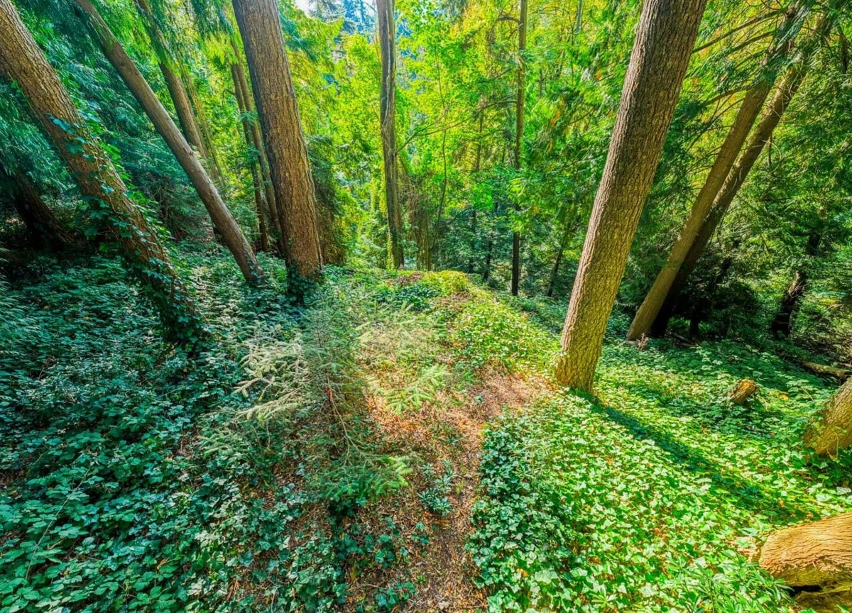 Breakfast Nook Photo of 8061 Mcgregor Avenue, Burnaby, BC