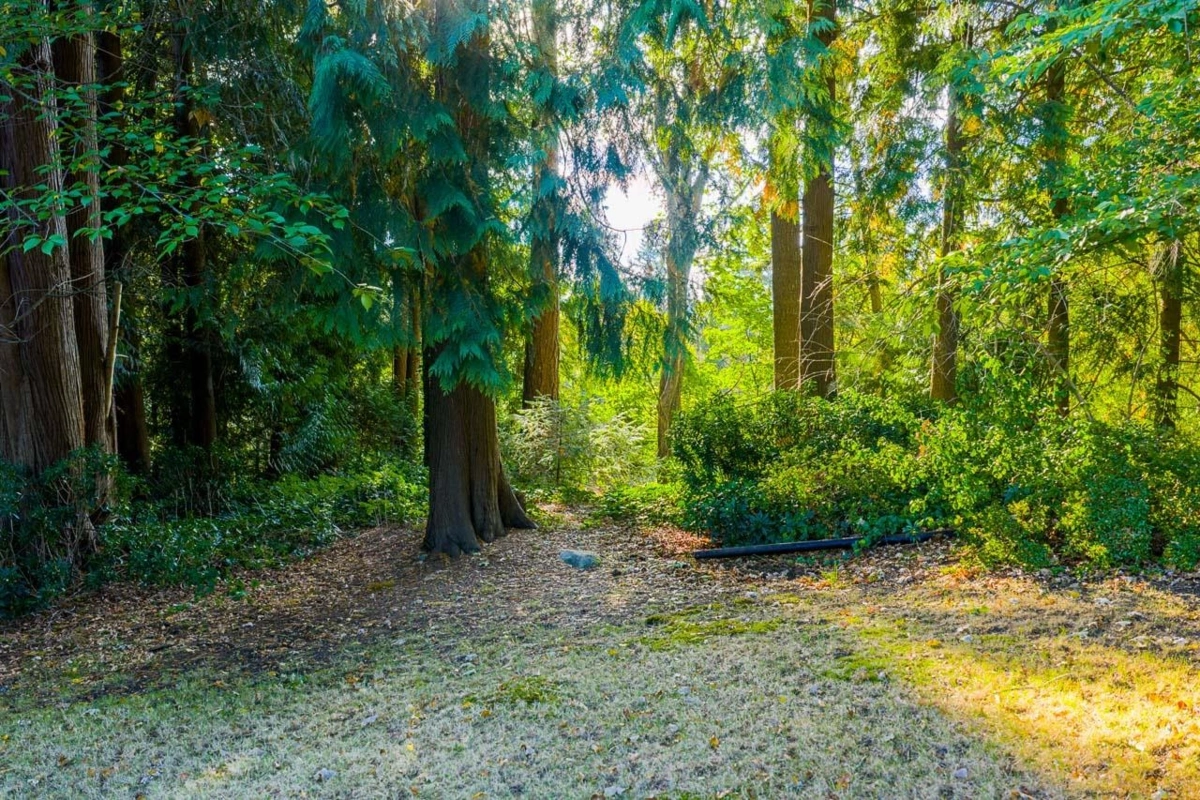 Kitchen Island Photo of 8061 Mcgregor Avenue, Burnaby, BC