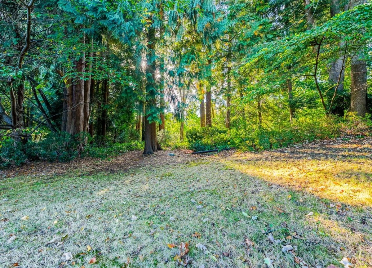 Pantry Photo of 8061 Mcgregor Avenue, Burnaby, BC