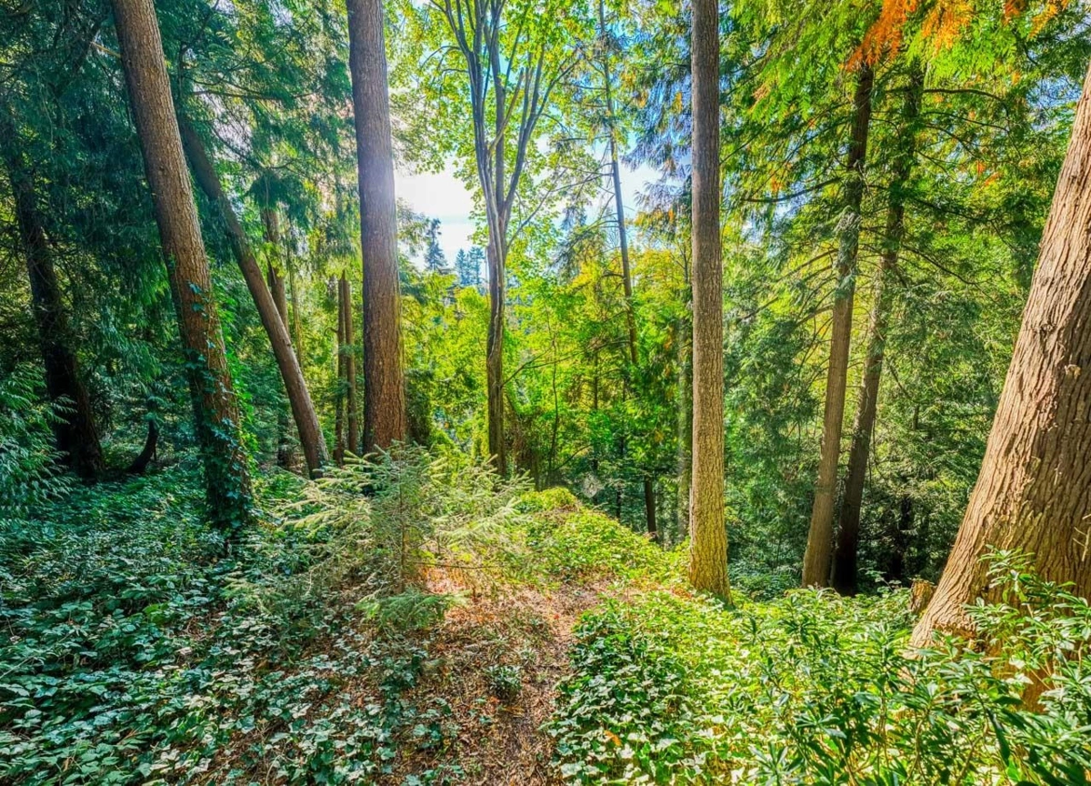 Primary Bedroom Photo of 8061 Mcgregor Avenue, Burnaby, BC