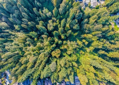 Backyard Photo of 8061 Mcgregor Avenue, Burnaby, BC