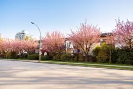 208 211 W 3rd Street, North Vancouver, BC