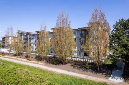 Outdoor Deck Photo of 316 23200 Gilley Road, Richmond, BC