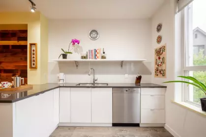 Kitchen Photo of 20 2332 Ranger Lane, Port Coquitlam, BC