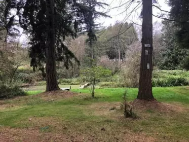 23317 16 Avenue, Langley, BC, Langley — Land for sale