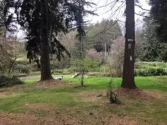 23317 16 Avenue, Langley, BC