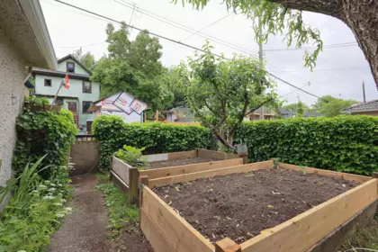 Backyard Photo of 2546 Eton Street, Vancouver, BC