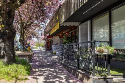 Street View Photo of 3918 Carolina Street, Vancouver, BC