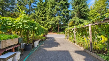 Hot Tub / Spa Photo of 22789 116 Avenue, Maple Ridge, BC
