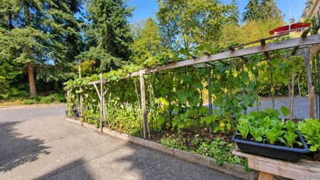 Swimming Pool Photo of 22789 116 Avenue, Maple Ridge, BC