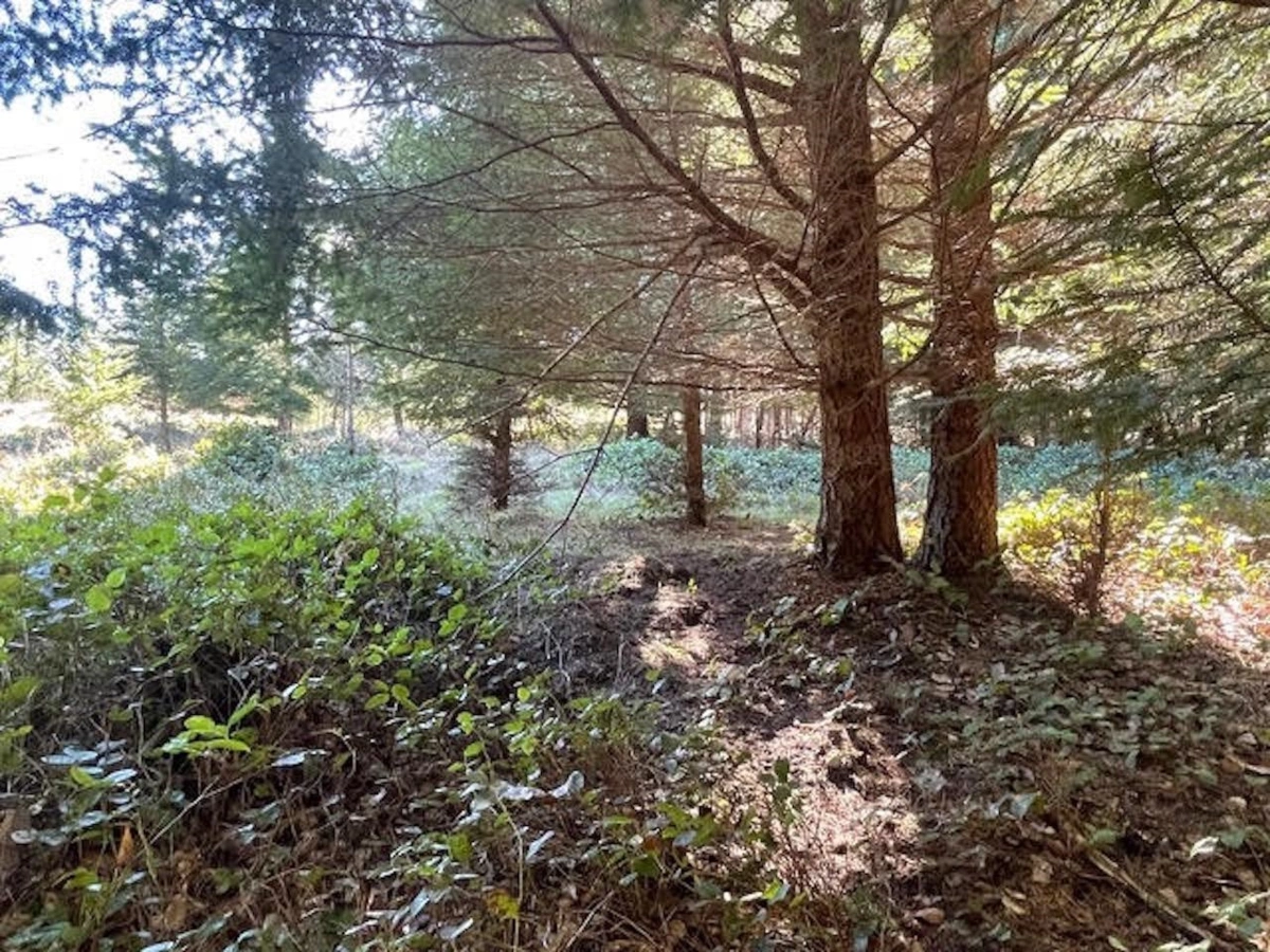 Loft / Bonus Room Photo of 1840 Seymour Road, Gabriola Island, BC