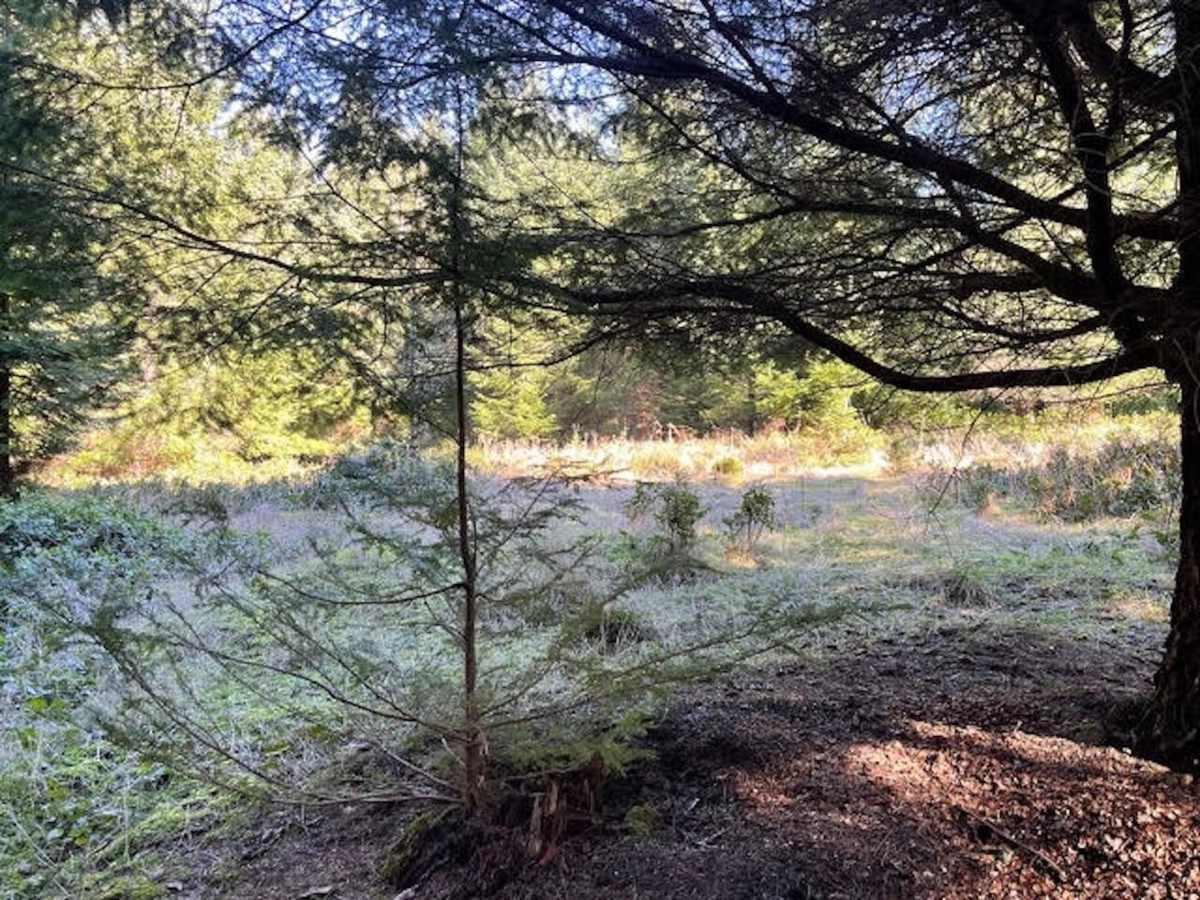 Garage Interior Photo of 1840 Seymour Road, Gabriola Island, BC