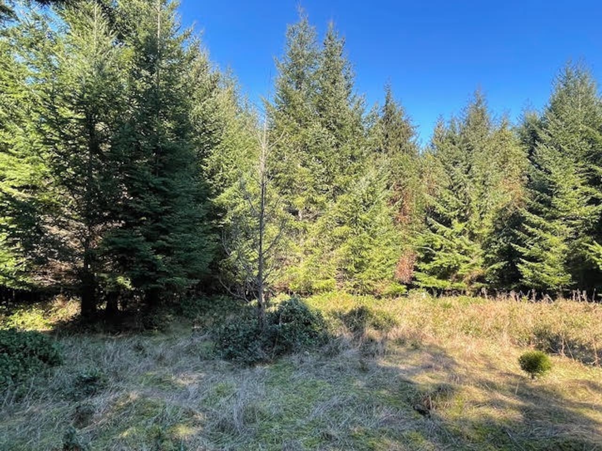 Hallway Photo of 1840 Seymour Road, Gabriola Island, BC