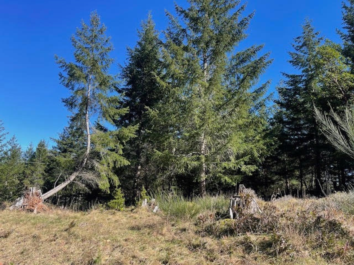 Staircase Photo of 1840 Seymour Road, Gabriola Island, BC