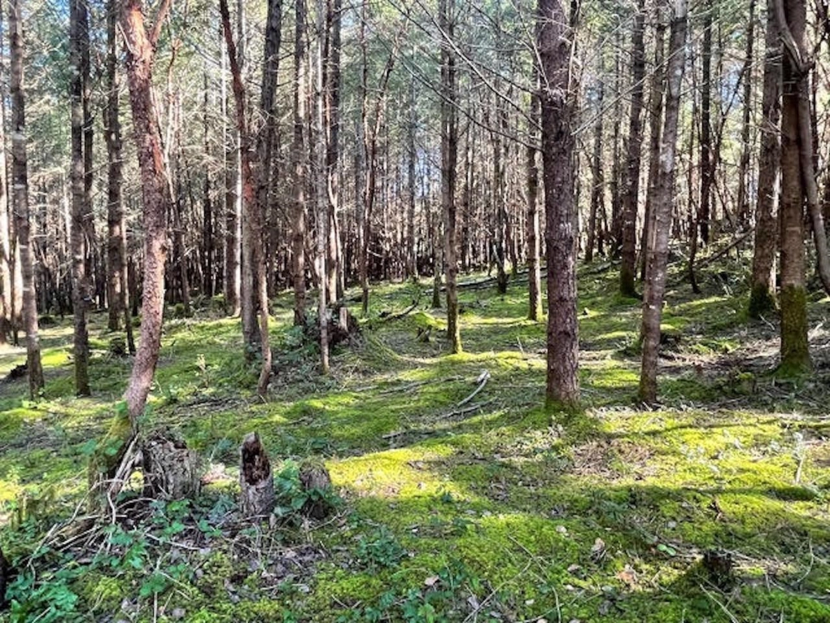 Laundry Room Photo of 1840 Seymour Road, Gabriola Island, BC