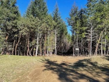 Front Yard Photo of 1840 Seymour Road, Gabriola Island, BC
