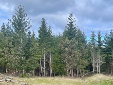 Office / Den Photo of 1840 Seymour Road, Gabriola Island, BC