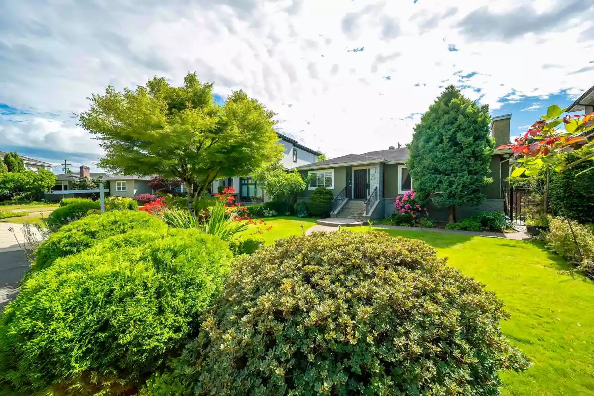 Backyard Photo of 3347 Trutch Street, Vancouver, BC