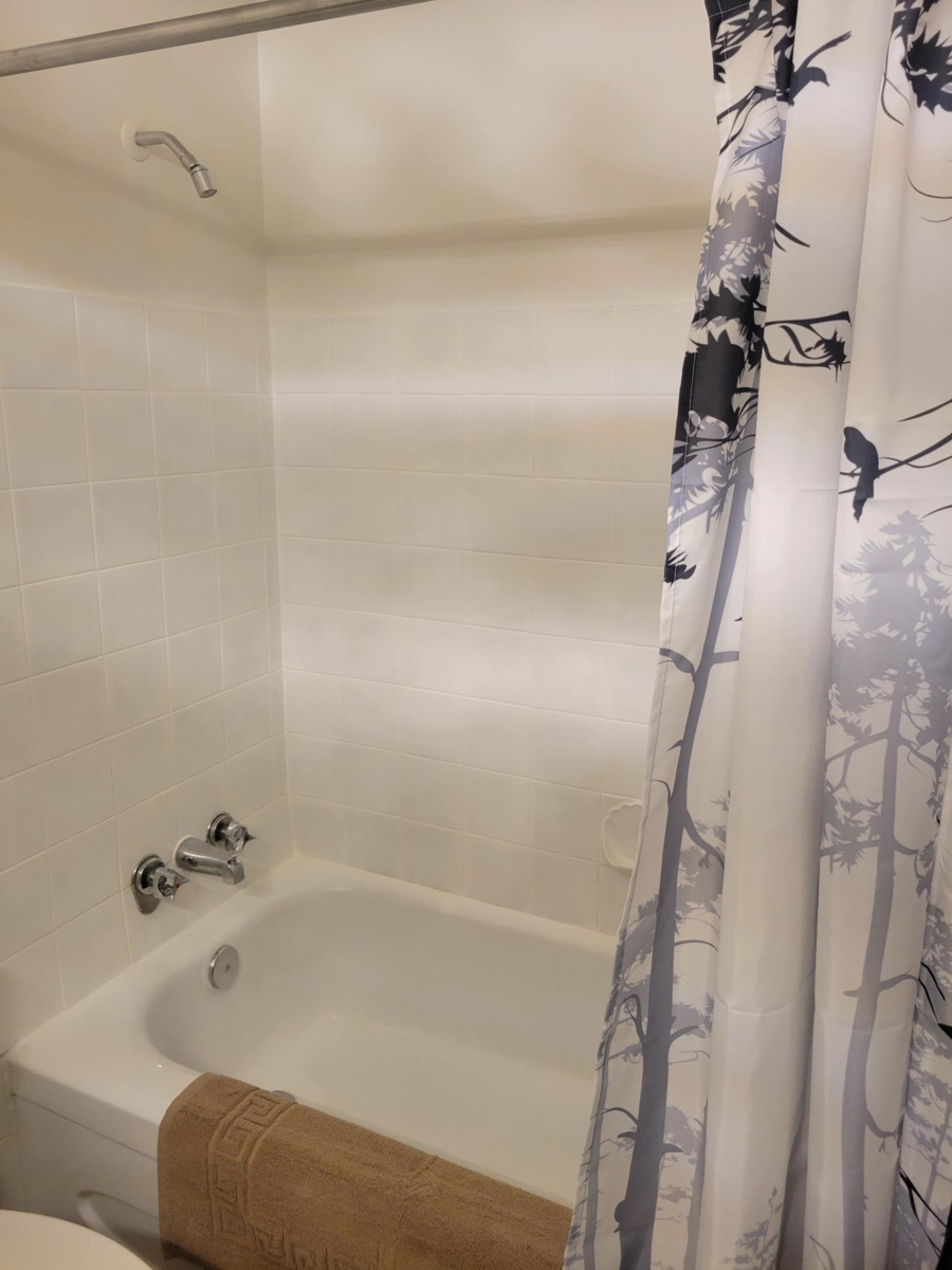 Loft / Bonus Room Photo of 310 45749 Spadina Avenue, Chilliwack, BC