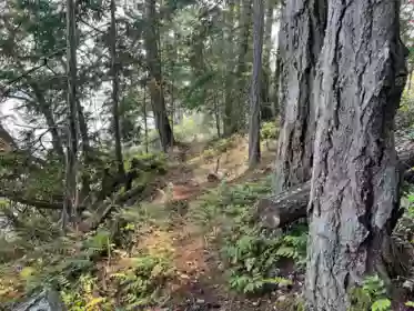 LOT 2 North End Road, Salt Spring Island, BC, Salt Spring Island — Land for sale
