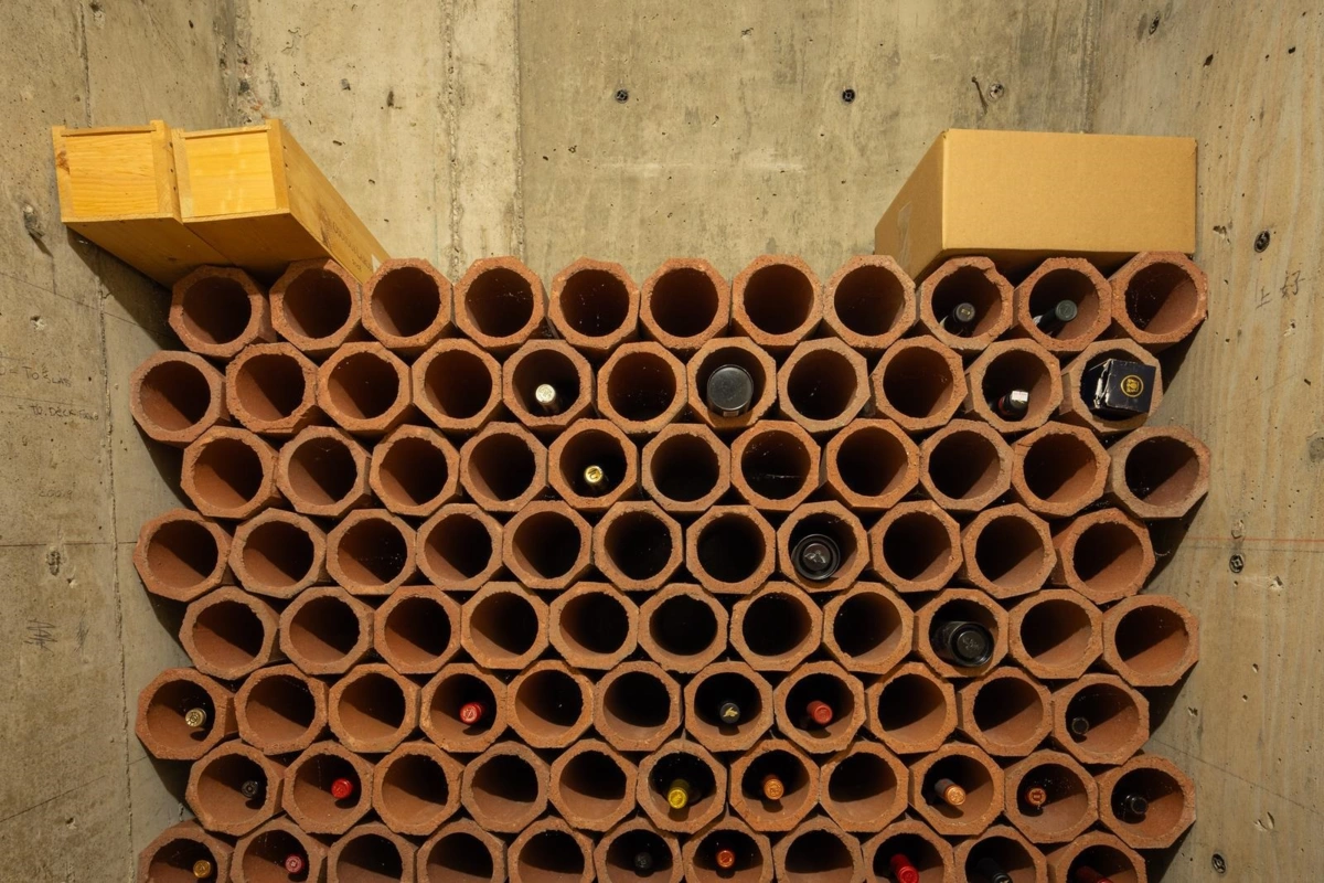 Backyard Photo of 1822 Sasamat Street, Vancouver, BC