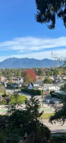 Neighborhood Park Photo Near 2806 W King Edward Avenue, Vancouver, BC