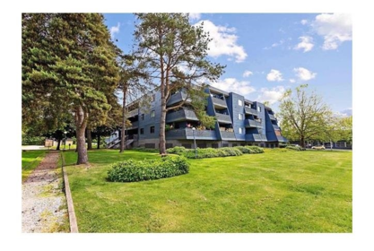 Family Room Photo of 105 17661 58a Avenue, Surrey, BC