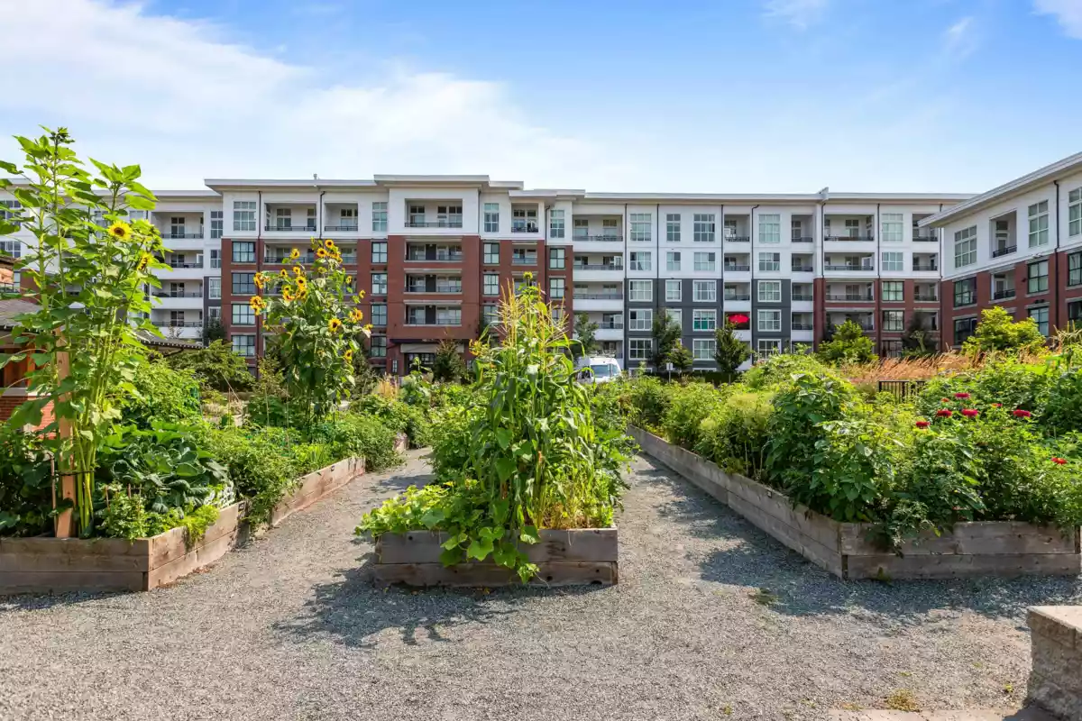 Outdoor Patio Photo of B319 8150 207 Street, Langley, BC