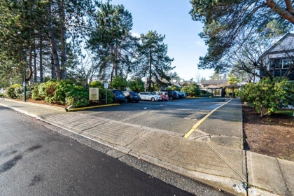 Swimming Pool Photo of 156 5421 10 Avenue, Delta, BC
