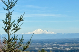 59 55 Hawthorn Drive, Port Moody, BC