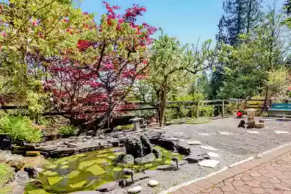 Aerial View of 2138 Braeside Place, Coquitlam, BC