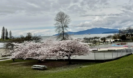 Front Yard Photo of 806 1005 Beach Avenue, Vancouver, BC