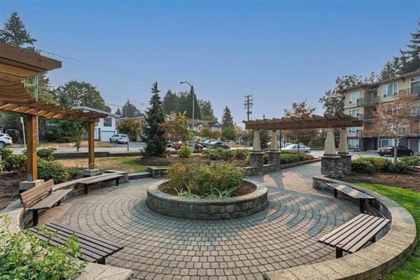 217 2565 Campbell Avenue, Abbotsford, BC, Abbotsford — Apartment/Condo for sale