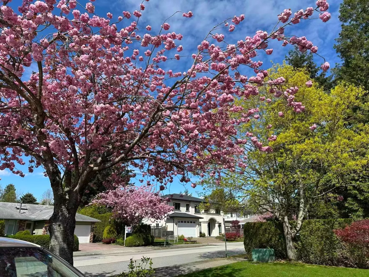 Playground / Recreational Area Near 1898 Southmere Crescent, Surrey, BC