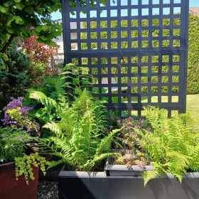 Backyard Photo of 5653 187 Street, Surrey, BC