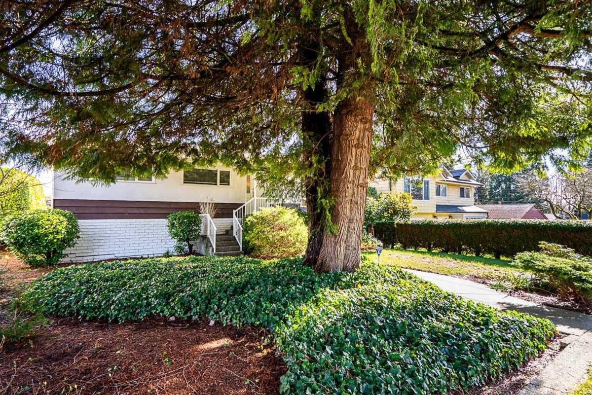 Living Room Photo of 3726 Sefton Street, Port Coquitlam, BC