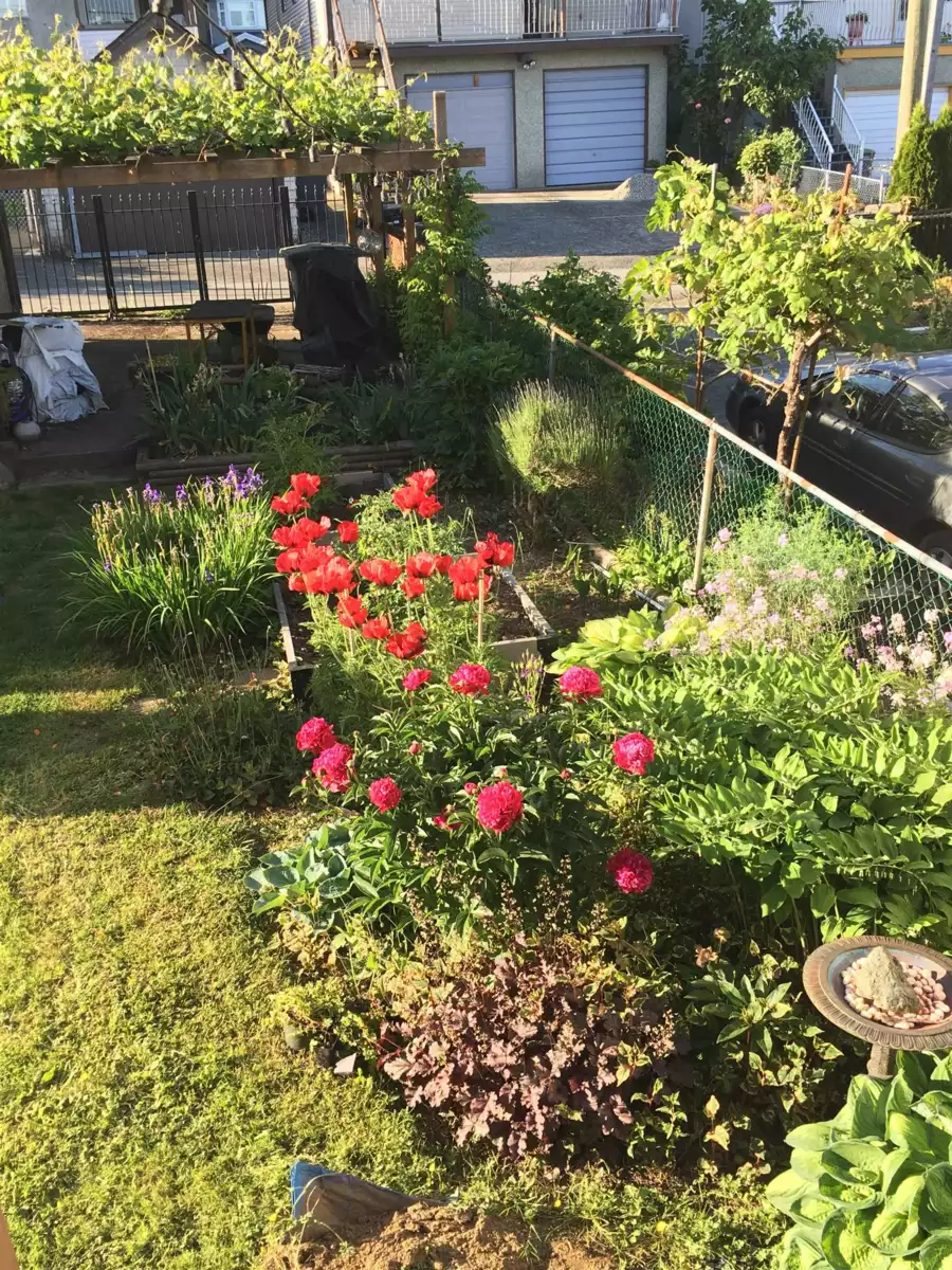 Street View Photo of 2867 E Georgia Street, Vancouver, BC