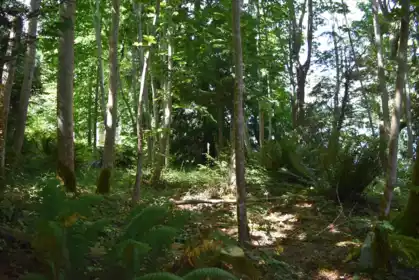 Kitchen Photo of LOT 18 N Gale Avenue, Sechelt, BC