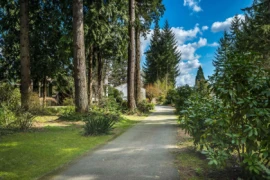 5342 236th Street, Langley, BC
