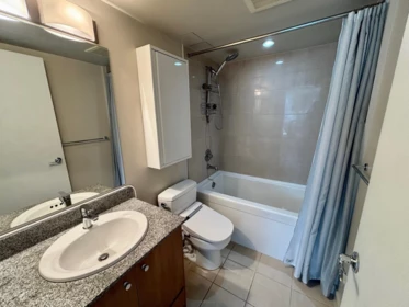 Walk-In Closet Photo of 809 1212 Howe Street, Vancouver, BC