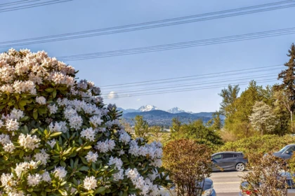 Neighborhood Park Photo Near 1 34332 Maclure Road, Abbotsford, BC