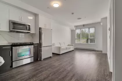 214 9983 E Barnston Drive, Surrey, BC, Surrey — Apartment/Condo for sale