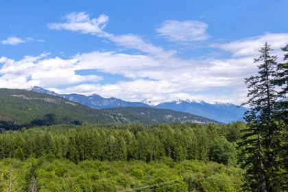 Garden / Landscaping Photo of 1305 Eagle Drive, Pemberton, BC