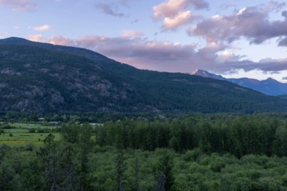 Pantry Photo of 1305 Eagle Drive, Pemberton, BC