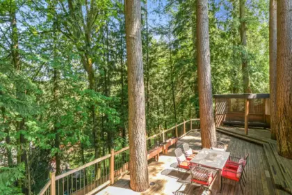 Backyard Photo of 23951 58a Place, Langley, BC