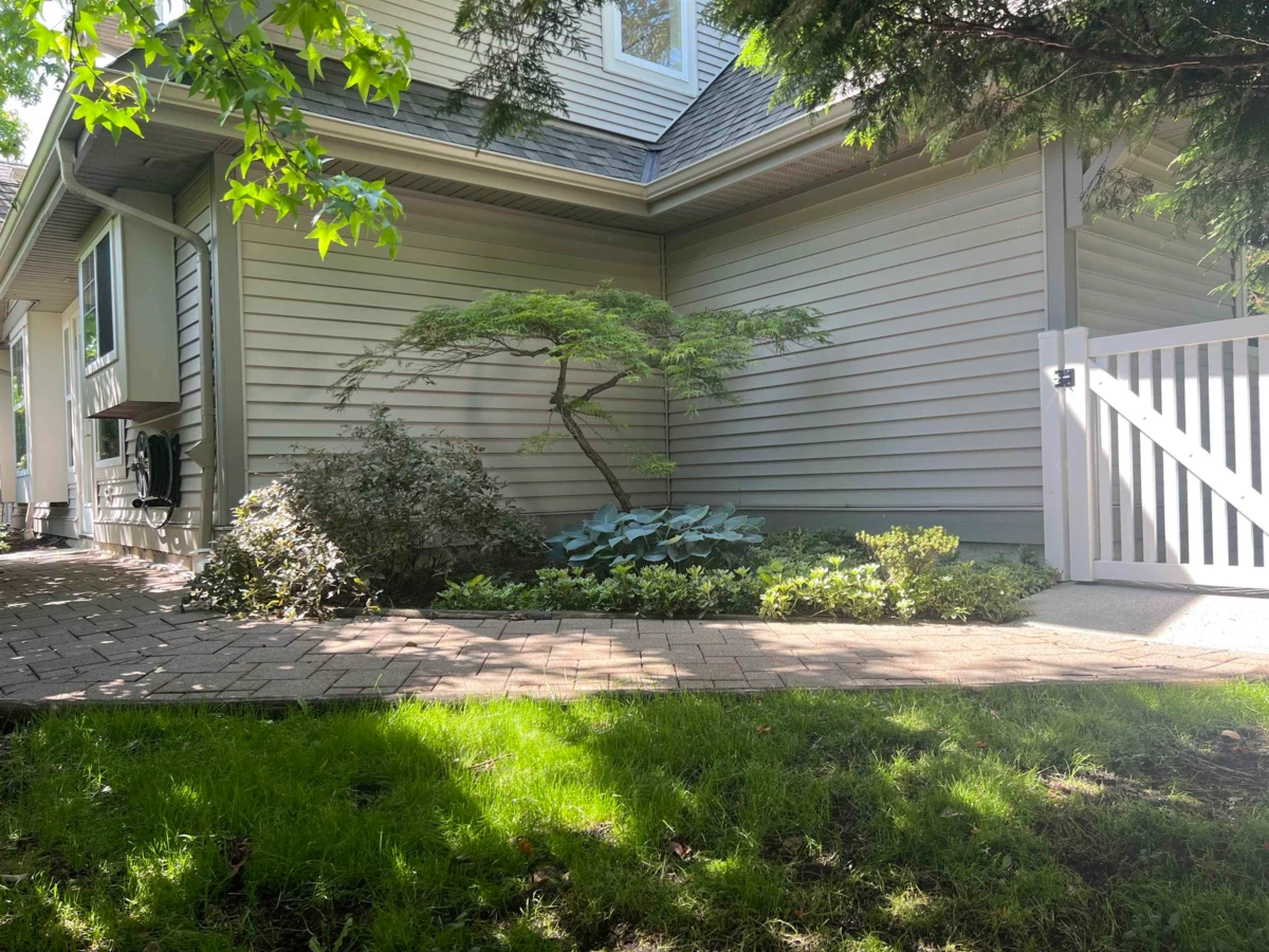 Family Room Photo of 82 23085 118 Avenue, Maple Ridge, BC