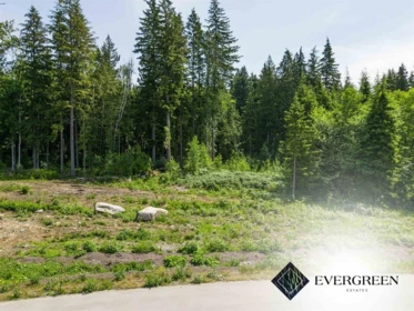 12402 271 Street, Maple Ridge, BC, Maple Ridge — Land for sale